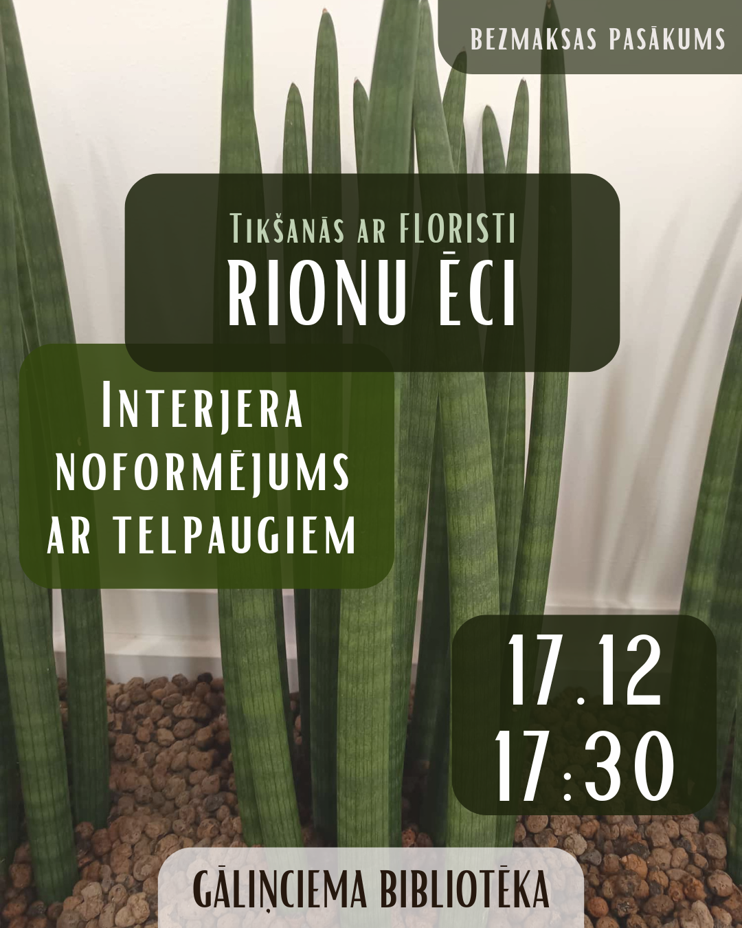 Gāliņciema bibliotēka (1080 x 1350 pikseļi) (11)