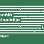 NE_WEB_2